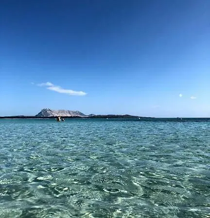Bilocale Gli Ulivi Feriehus San Teodoro (Sardinia)