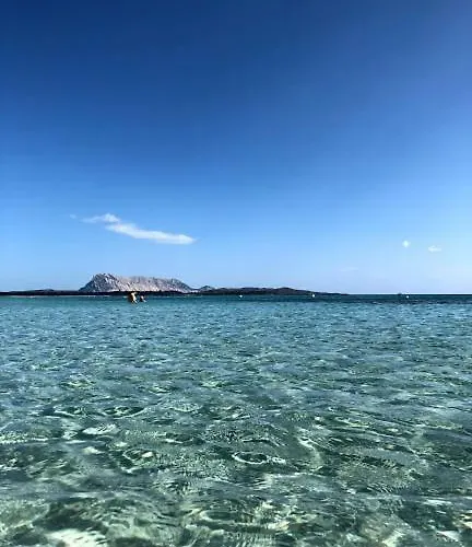 Bilocale Gli Ulivi Vakantiehuis San Teodoro (Sardinia)